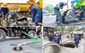 Nạo vét hố ga giá rẻ nhanh chóng 24/7